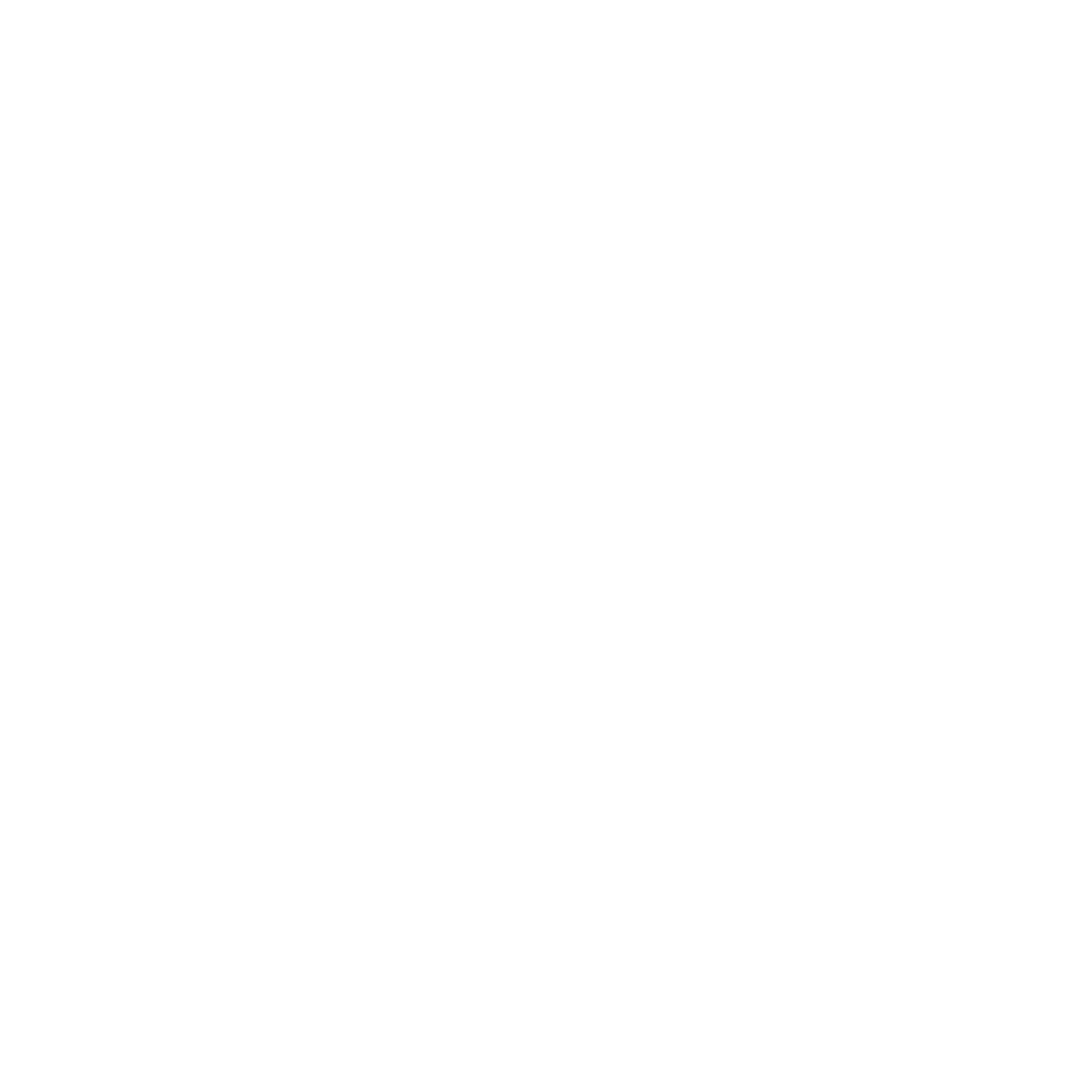 Logo White